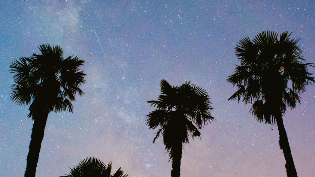 棕榈树下的璀璨星空，4K高清壁纸，3840x2160分辨率，绝美风景尽在眼前！