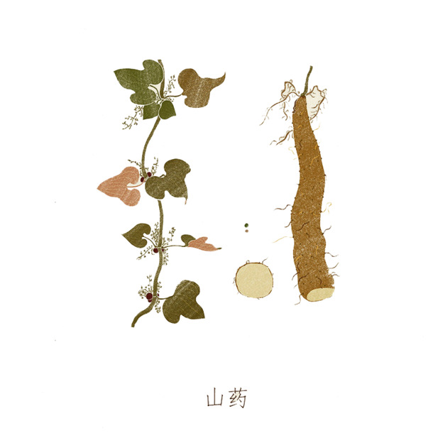 创新蔬食主题PNG透明图片，创意植物元素设计素材下载