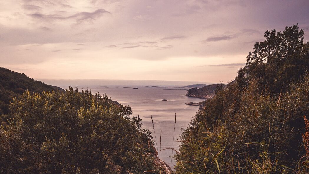 大海与树木交融之美，4K高清海岸风景壁纸，3840x2160分辨率畅享自然魅力