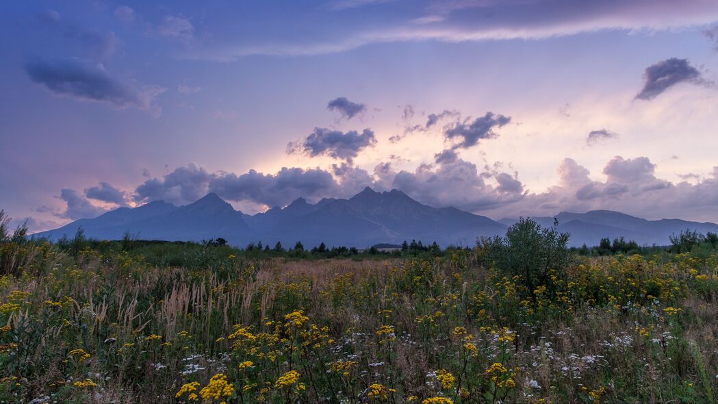 山脉岩花盛放，高清4K风景壁纸3840x2160，绝美下载