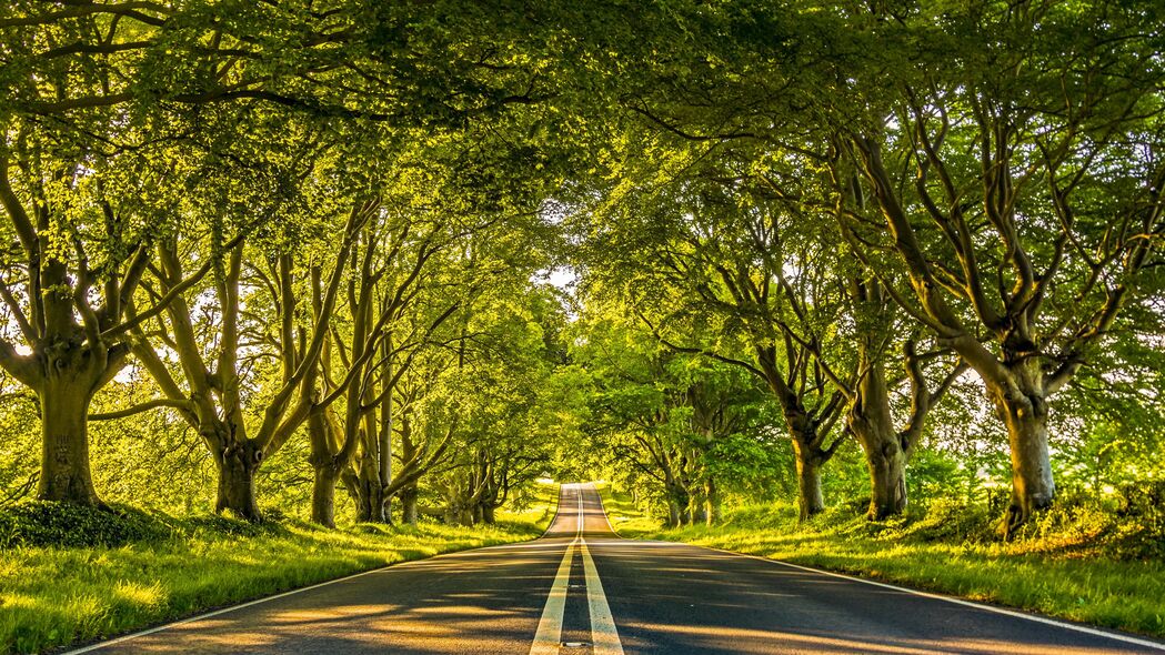道路树木小巷风光，4K超清壁纸，3840x2160高清下载，标记你的距离感