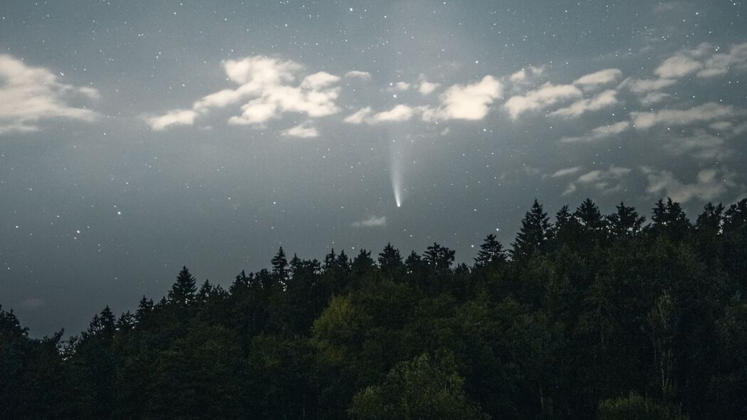 【绝美壁纸】星空海星树木辉映，夜间高清4K风景，3840x2160超清壁纸免费下载
