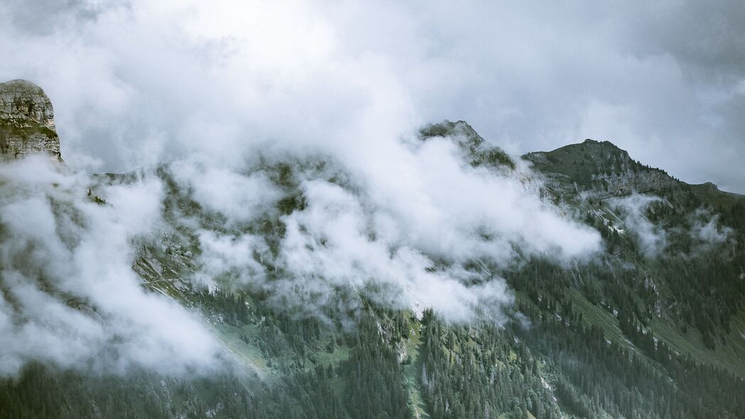 岩石斜坡树木雾中云景，绝美4K高清壁纸，3840x2160分辨率，一键下载！