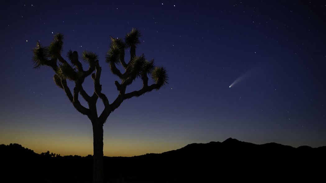 夜晚沙漠星空，绝美4K高清壁纸，3840x2160分辨率，畅享自然之美！