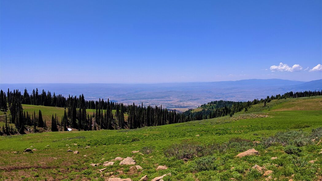 山丘云杉石草美景，超清4K壁纸，3840x2160高清下载，领略自然距离之美