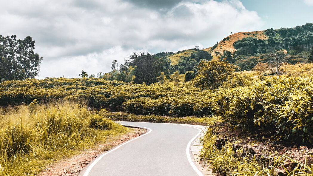 道路灌木缠绕美景，高清4K风景壁纸，3840x2160分辨率，一键下载！