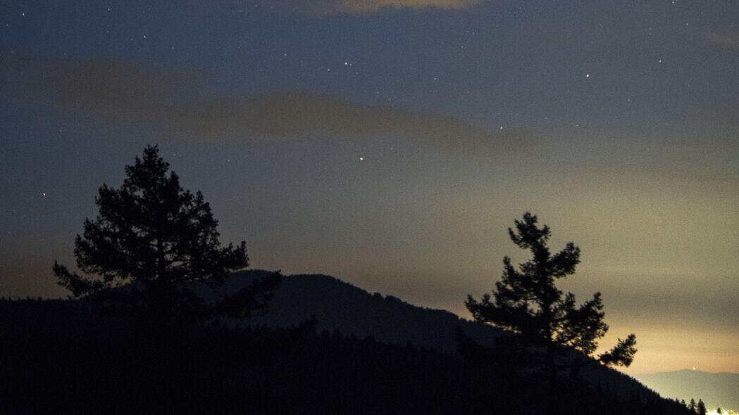 云杉剪影下的星空盛宴，高清4K夜间壁纸，绝美3840x2160分辨率等你来下载