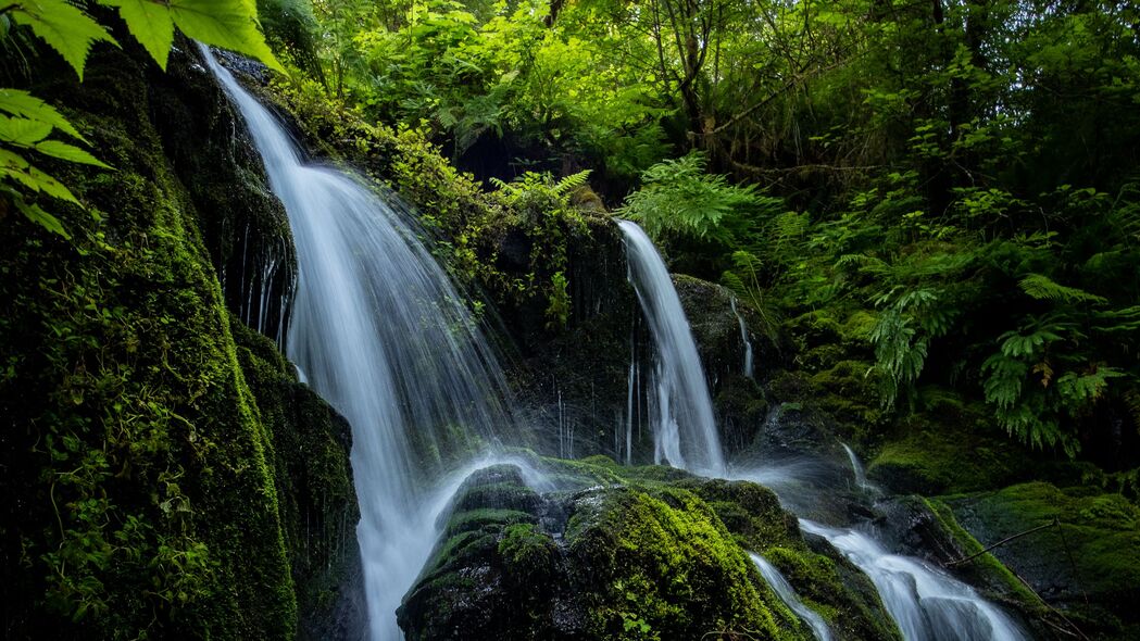 瀑布溅石，溪流绕枝，植物繁茂——4K高清风景壁纸，3840x2160分辨率，免费下载