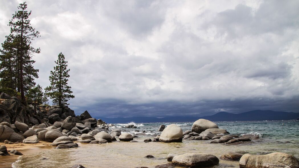 海岸石头云杉美景，4K高清壁纸，3840x2160分辨率，尽享大海与沙子的细腻画面