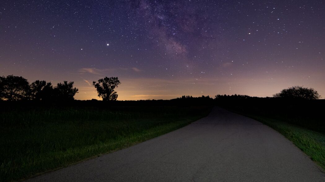 星空璀璨，星光道路与灌木丛交织的夜间美景 - 4K高清壁纸（3840x2160）免费下载