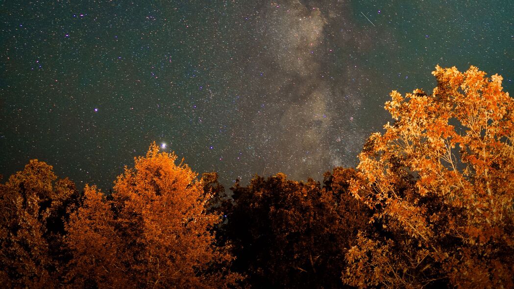 夜晚星空下的星云与树木，绝美4K高清壁纸（3840x2160）免费下载