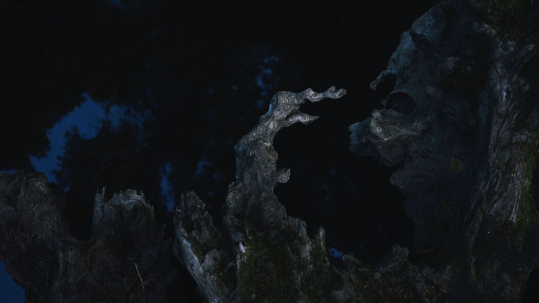 夜间浮木苔藓4K高清壁纸，3840x2160超高清背景图片，免费下载