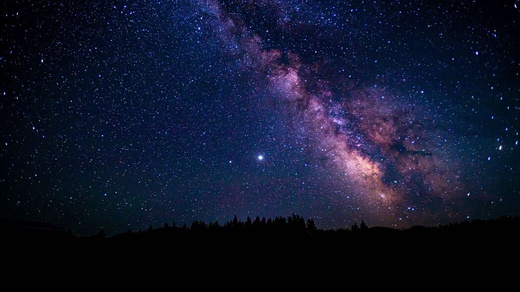 夜晚星空下的星云与树木，绝美4K高清壁纸（3840x2160）免费下载
