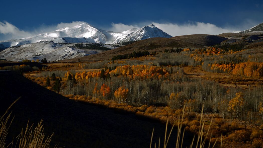 绝美山脉峰巅雪景，树木葱茏，风景如画——4K高清壁纸，3840x2160下载