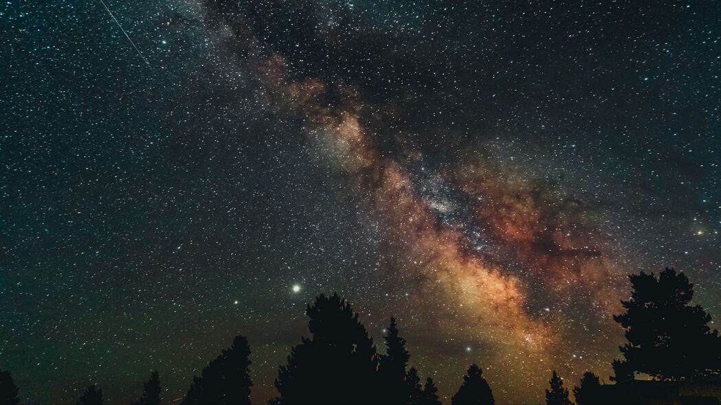 树木掩映下的星空，璀璨星云与闪烁星星，夜间美景4K壁纸，超清3840x2160分辨率风景图片，高清下载尽享视觉盛宴