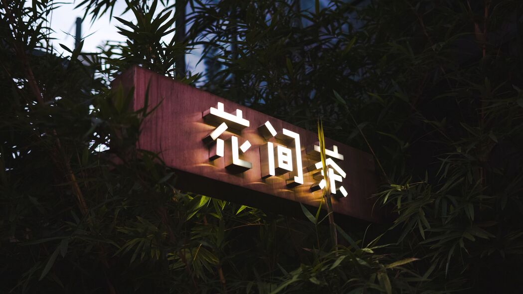 象形文字与铭文之美，背光树枝4K高清壁纸，3840x2160分辨率，精美背景图片任你下载