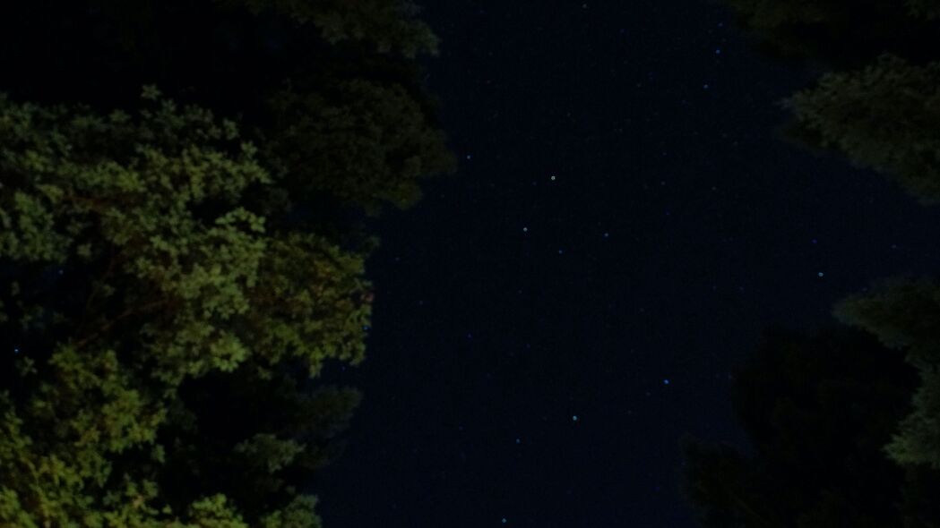 高清壁纸下载，夜晚星空下的树木美景，4K超高清3840x2160背景图片