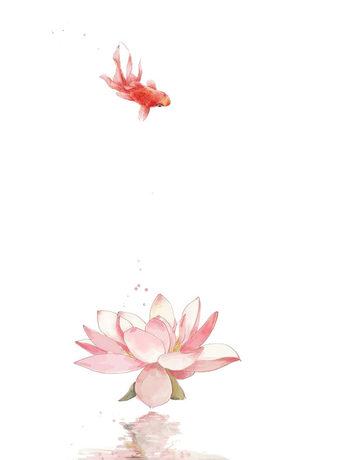 素雅荷花鲤鱼PNG透明图片，高清动植物元素设计素材，免费下载