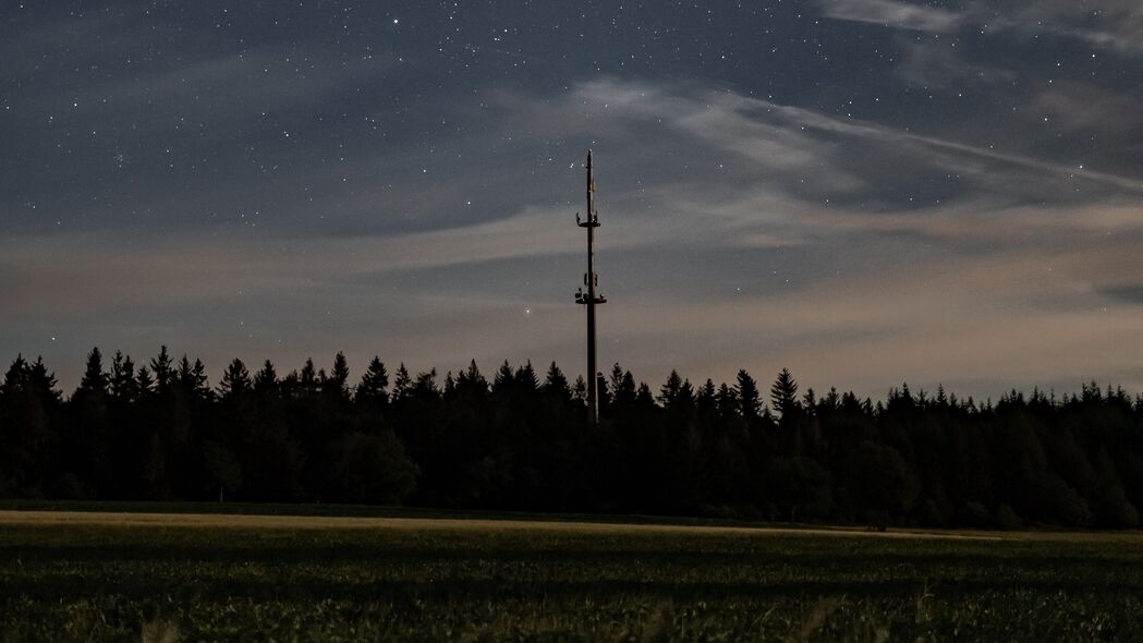 夜幕下，星空璀璨，星星点点映照在树与草丛间——绝美4K高清壁纸，3840x2160分辨率，尽享视觉盛宴，一键下载！