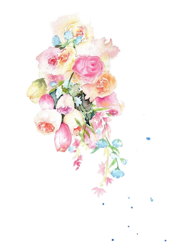 水彩玫瑰PNG透明图片，高清节日元素，情人节设计素材免费下载
