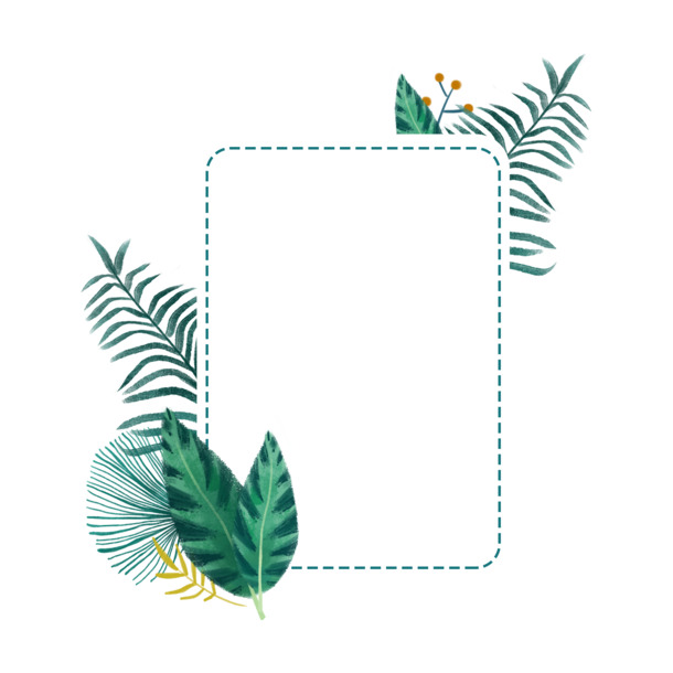 植物边框PNG素材，高清透明叶子线型装饰，免费下载