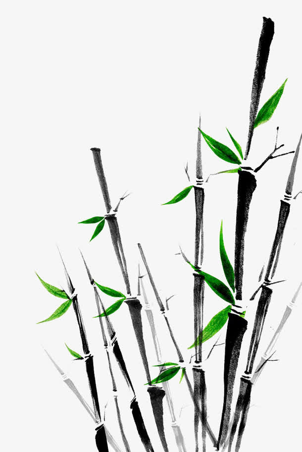 竹子手绘PNG透明图片，高清动植物元素，设计素材下载