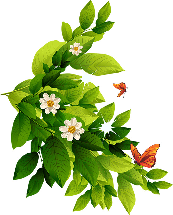 花叶PNG素材，高清透明动植物元素，设计必备，免费下载