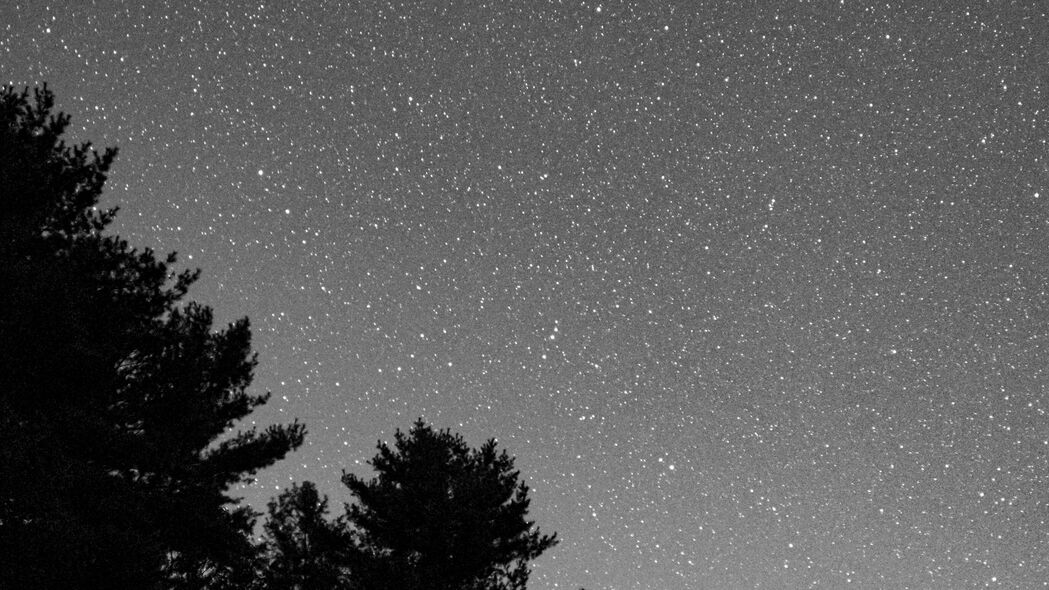 超高清4K星空灌木黑白星星壁纸，3840x2160分辨率，精美背景图片下载