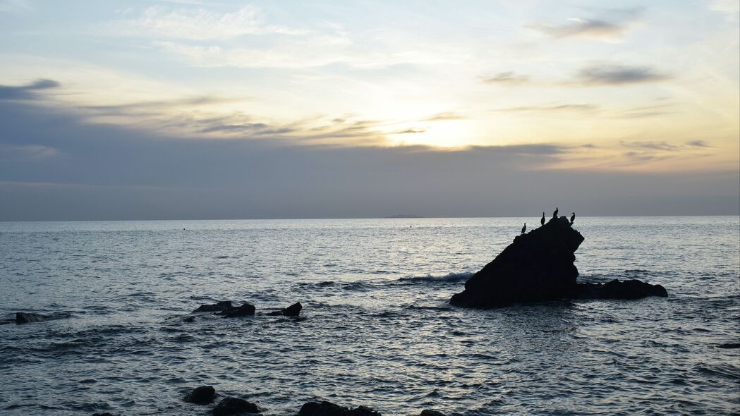 鸟栖岩石，海映天空——绝美4K风景壁纸，3840x2160高清下载