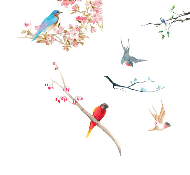 中国风花鸟高清PNG透明素材，装饰图案设计元素，免费下载