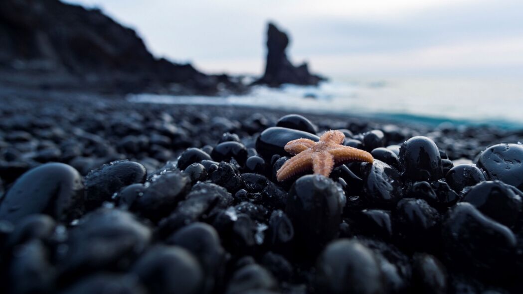 海星与鹅卵石，航海之旅4K高清壁纸（3840x2160）免费下载