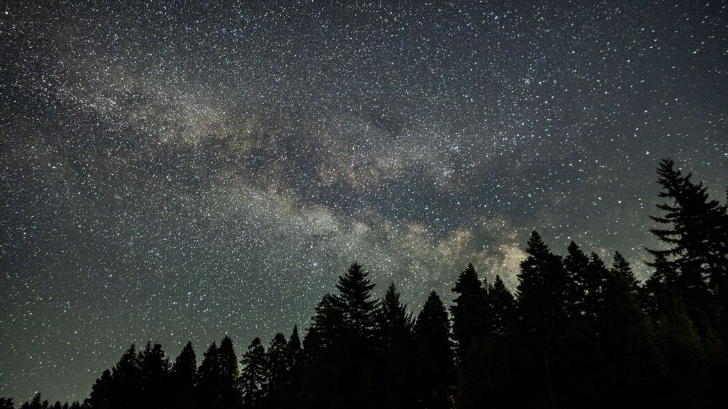 星空璀璨，星星点点映云杉，绝美夜间4K风景壁纸，高清3840x2160下载