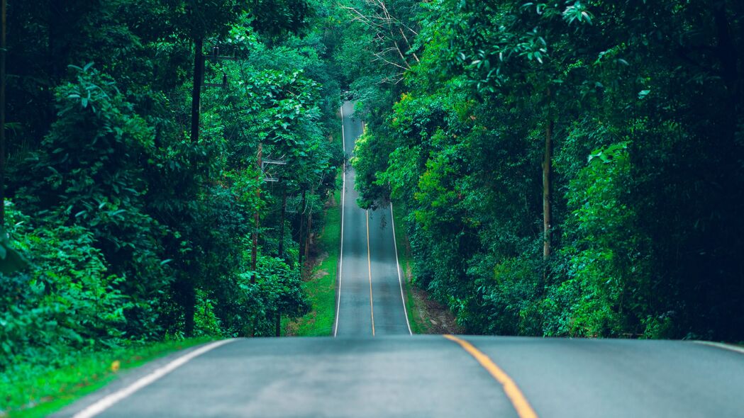 道路与树木交织的4K高清风景壁纸，绝美路径标记，3840x2160分辨率下载