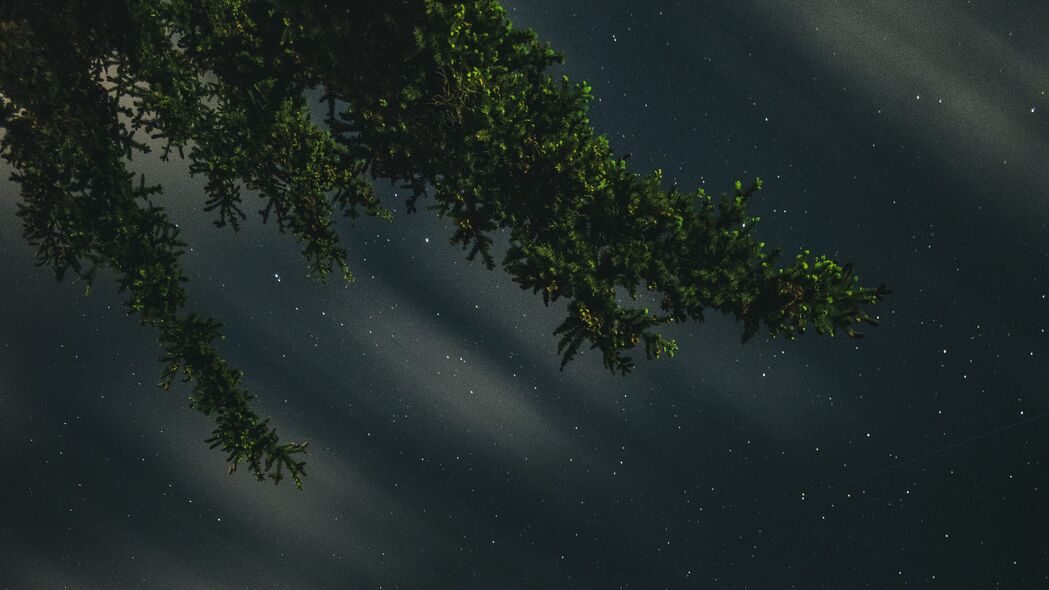树枝星空璀璨，夜间星星闪耀——高清4K风景壁纸3840x2160免费下载