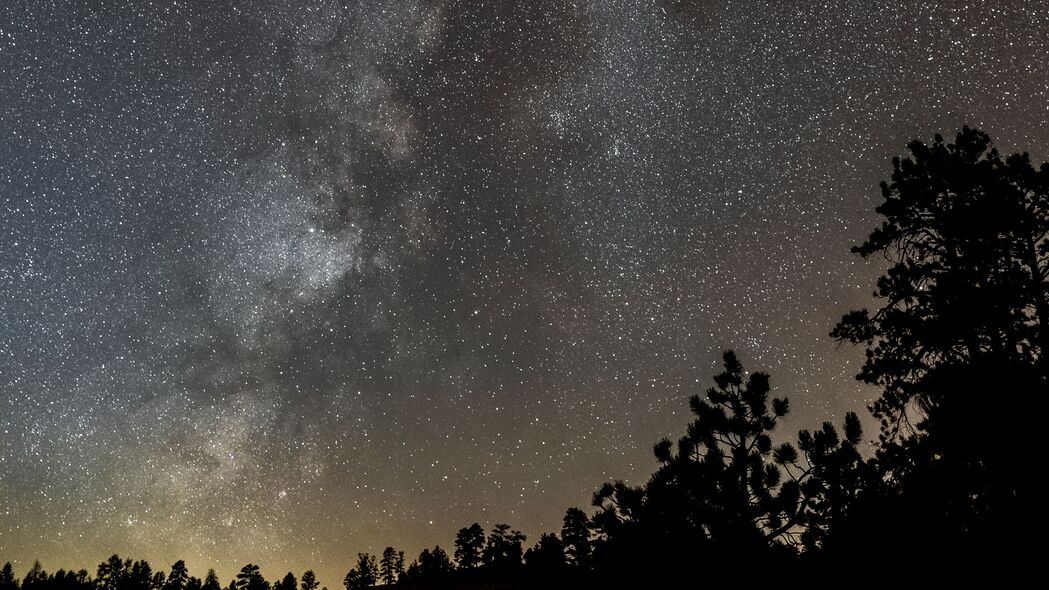 灌木映星空，璀璨星星与绚丽星云，高清4K壁纸下载（3840x2160）