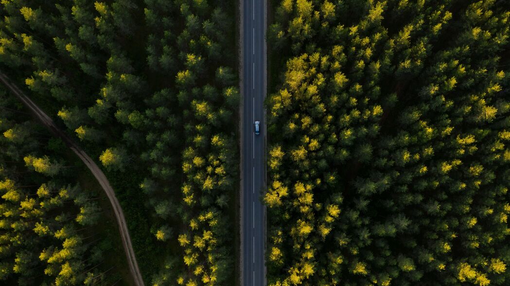 道路鸟瞰，树木掩映下的汽车疾驰，超清4K壁纸，3840x2160高清下载