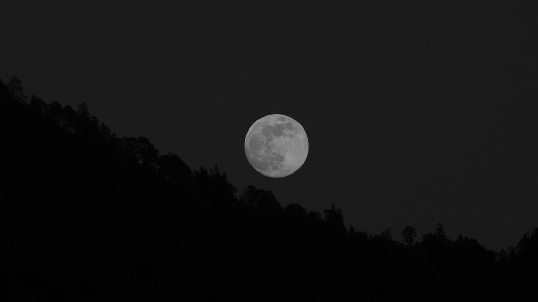 绝美满月之夜，黑白树影4K超高清壁纸，3840x2160分辨率，高清下载