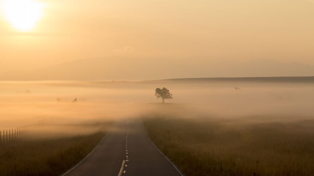 道路雾景，高清4K壁纸，树木标记点缀，3840x2160分辨率美景图片，一键下载