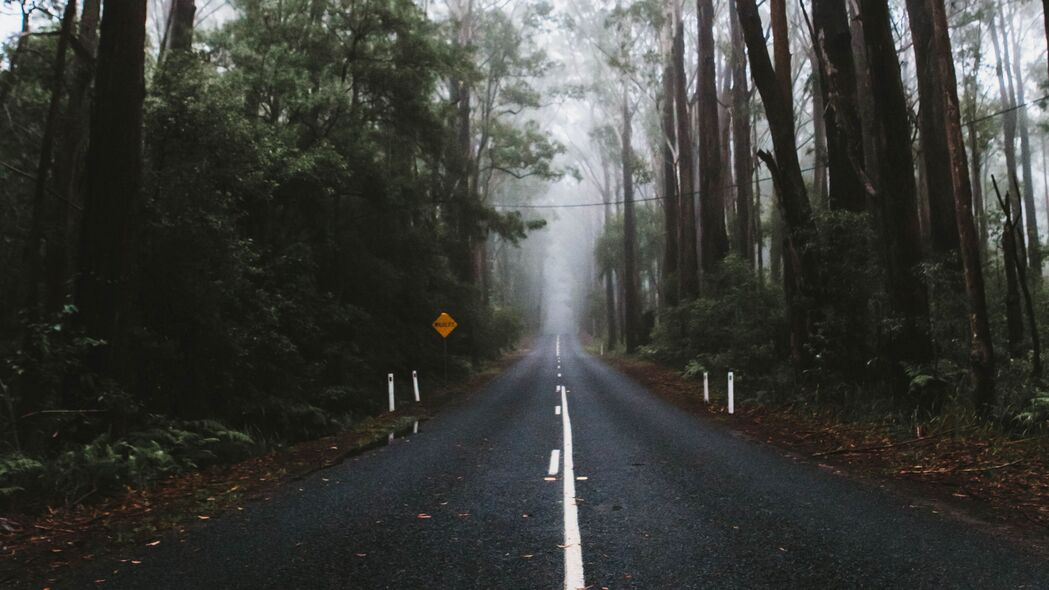 道路标记雾树美景，4K超清壁纸，3840x2160高清下载，领略自然之美