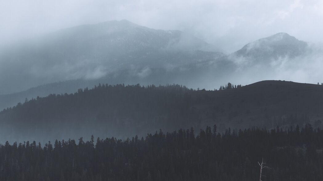 森林雾霭缭绕，昏暗丘陵树木隐现——超清4K风景壁纸（3840x2160）高清下载