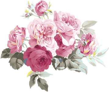 粉色花朵手绘PNG素材，高清透明，情人节节日元素设计必备
