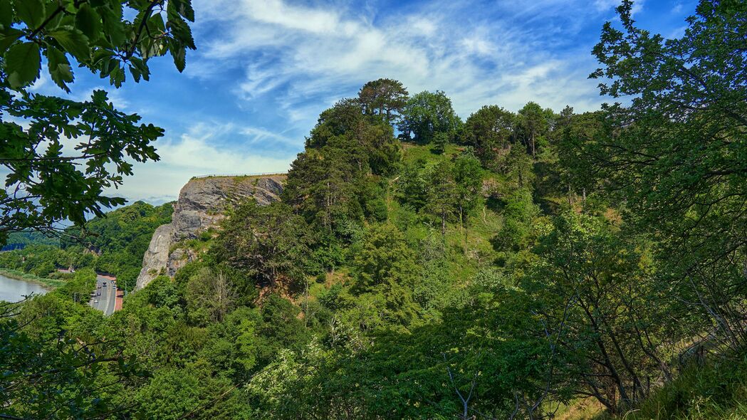 4K超清风景壁纸，岩石、树枝与灌木的自然之美，3840x2160高清下载