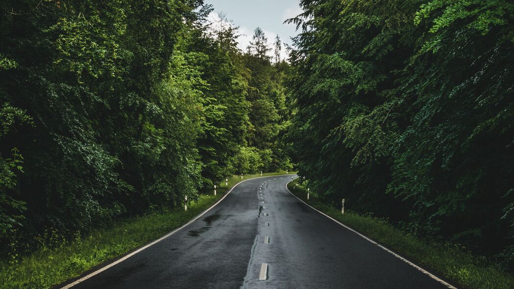 4K超清壁纸，森林道路标记与树木，天空美景尽收眼底，3840x2160高清下载