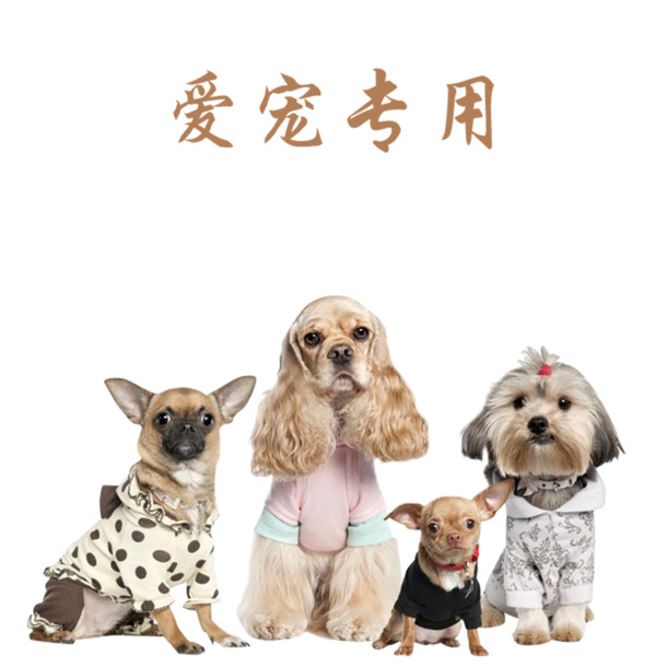 爱宠专属，宠物店宣传单PNG透明图，高清动植物元素设计素材免费下载