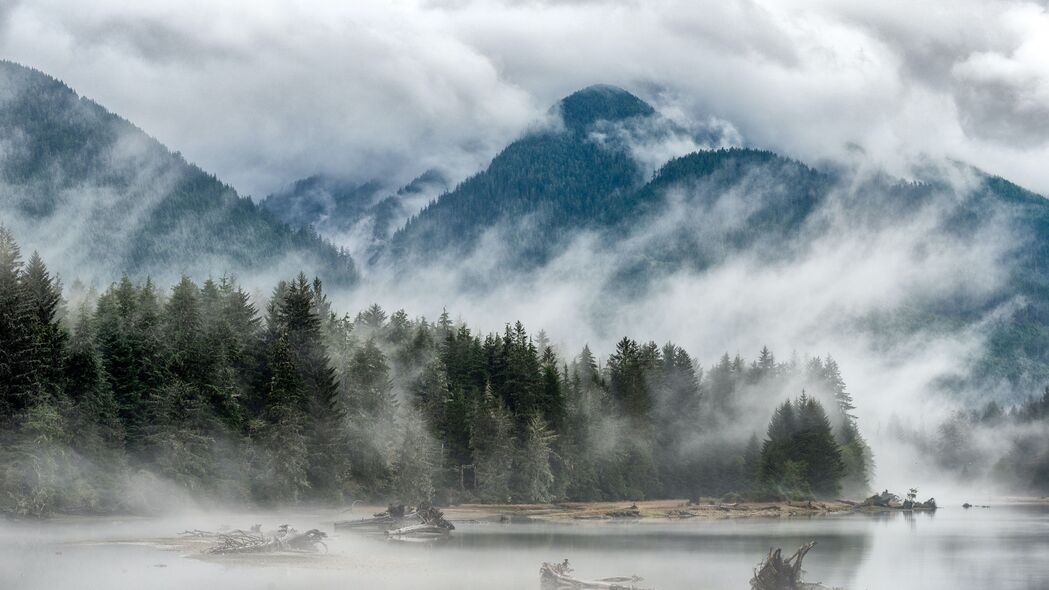 山丘雾湖森林4K超清壁纸，3840x2160高清风景图片，一键下载树木美景