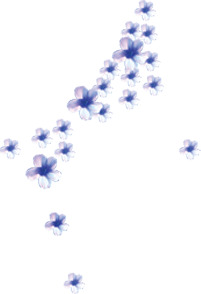 蓝色妖姬花纹背景PNG透明图片，高清花瓣漂浮设计素材免费下载