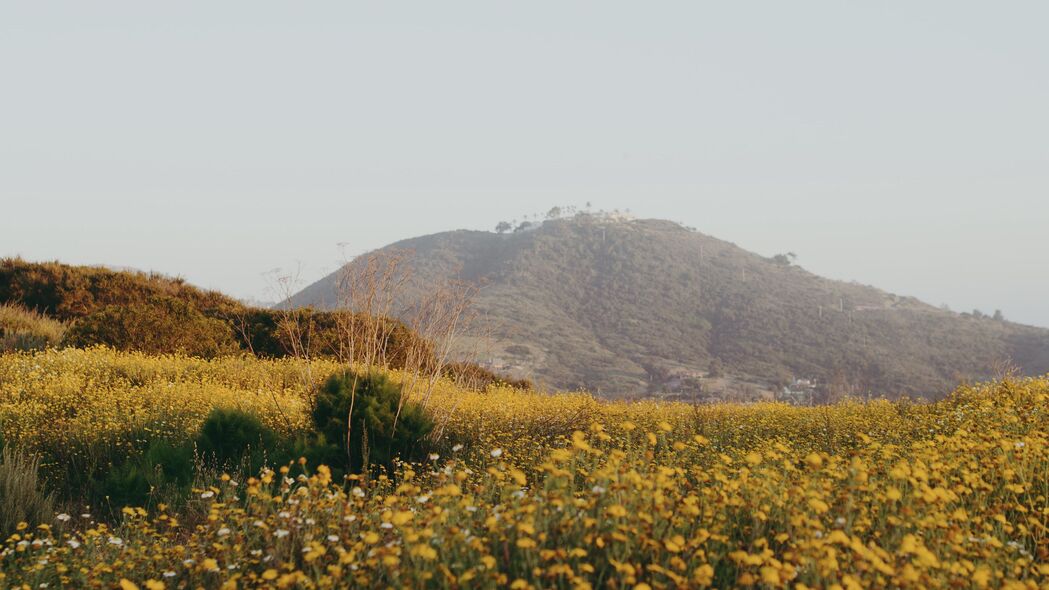 山丘鲜花田野美景，4K高清壁纸，3840x2160分辨率，尽享广阔自然风光