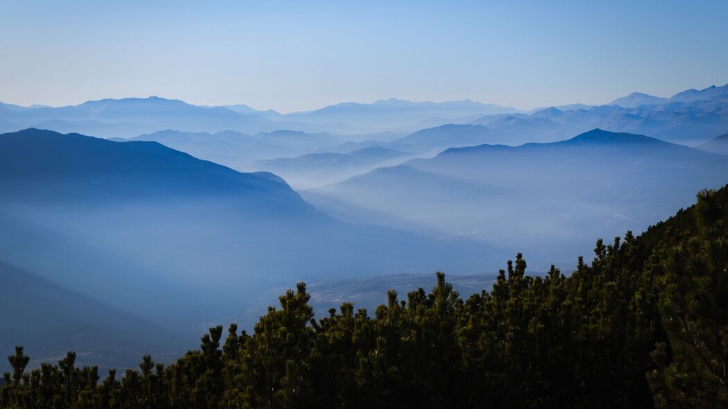 丘陵云杉雾景，绝美4K高清壁纸，3840x2160分辨率，一键下载，距离美景更近一步！