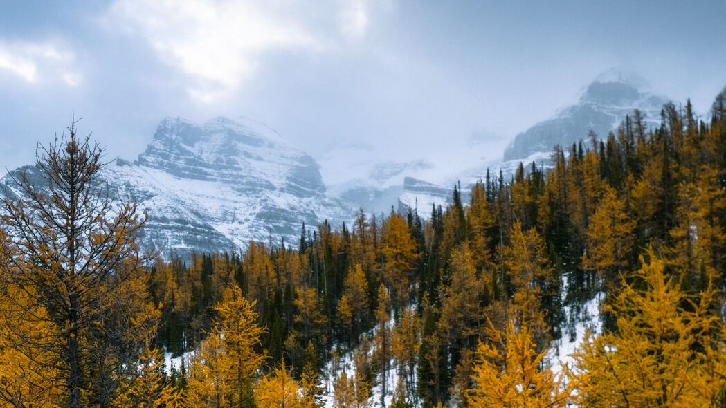 森林山脉雪景高清壁纸，4K分辨率3840x2160，绝美风景一览无余，免费下载！