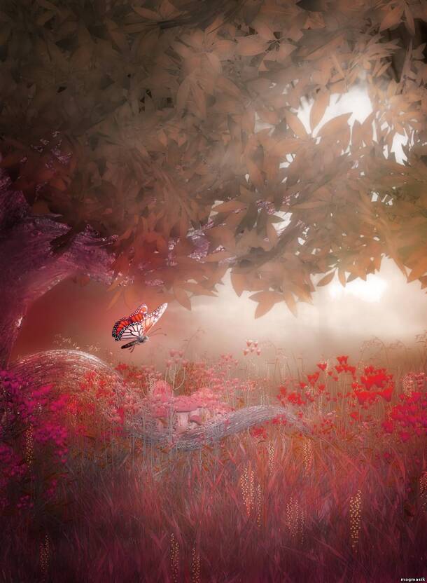 梦幻森林蝴蝶PNG背景，高清透明，卡通手绘，海报设计素材下载